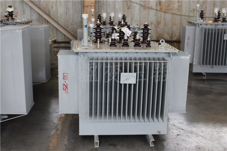 临沧S20-800kVA/10kV/0.4kV变压器